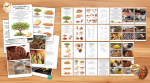 Kakao pupiņas Kiko piedzīvojums – izziņas materiāls