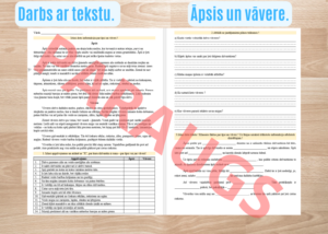 Lasītprasme. Darbs ar tekstu. Āpsis un vāvere. 2.-3.kl.