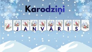 Karodziņi JANVĀRIS