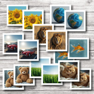 Priekšmeti apkārtējā vidē- Kartīte ar kartīti