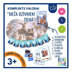 Rotaļdarbība “MEŽA DZĪVNIEKI ZIEMĀ”- ziemu, mīklas, plāns