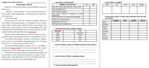 DARBS AR TEKSTU – VĀRDA SASTĀVS