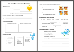 Kāda ir gaismas, gaisa, ūdens nozīme organismu dzīvē?