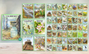 KARTĪTES ar tekstu – PAVASARA VĒSTNEŠI | LIELAIS KOMPLEKTS