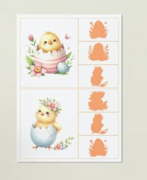 Cāļi -atrodi īsto ēnu