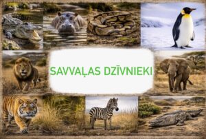 Zooloģiskais dārzs