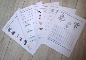 Darba lapas latviešu valodā 1.klasei