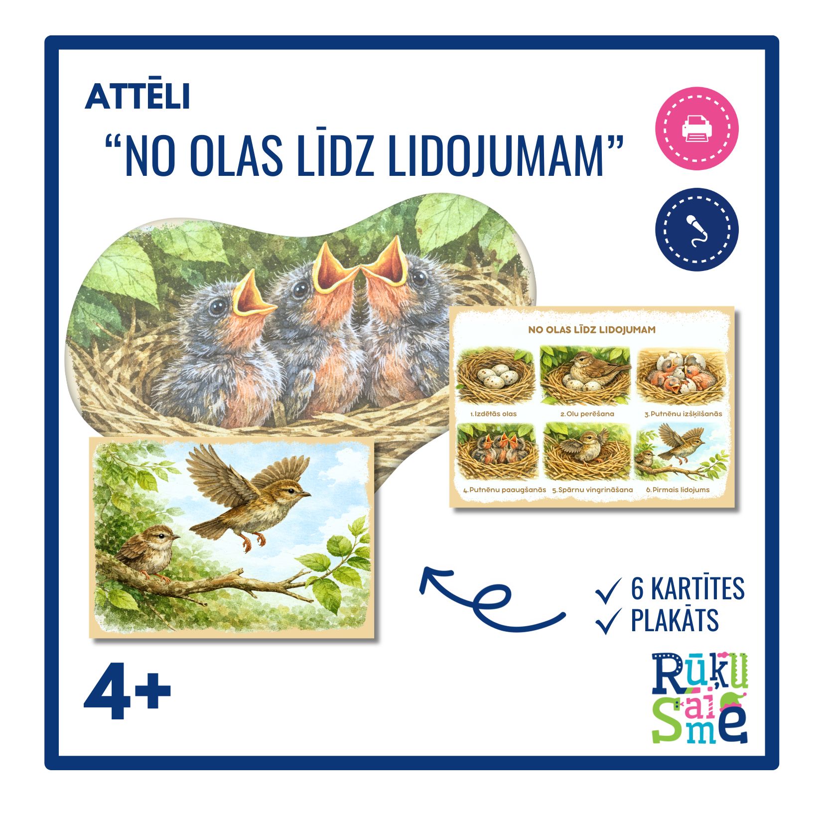 Attēli “NO OLAS LĪDZ LIDOJUMAM”- putni, pavasaris, attīstība – Mācību ...