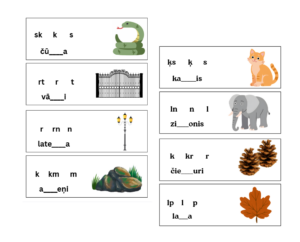 Līdzskaņu sapludinājumu pareizrakstība