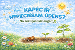 Kāpēc ir nepieciešams ūdens?