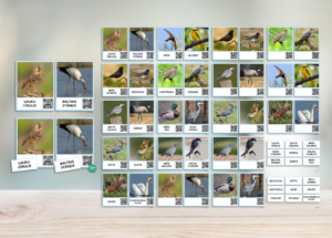 Gājputni – kartītes ar putnu dziesmām (QR kodi)