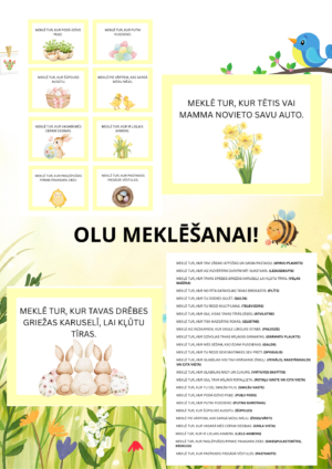 Lieldienu olu meklēšanas spēle – 27 norāžu kartītes