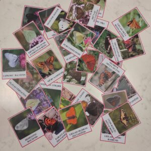 Kartītes “Dienastauriņi”