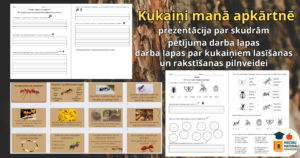 Kukaiņi manā apkārtnē