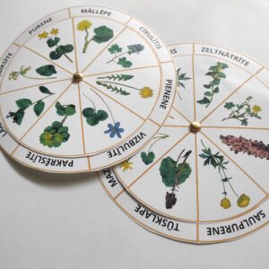 Pavasara augu grozāmie apļi