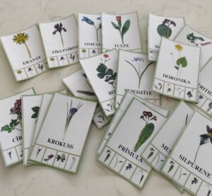 Spēle “Pavasara puķes”