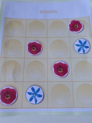 Pavasara ziedu sudoku