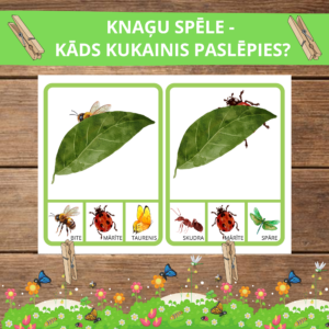 KNAĢU SPĒLE – KĀDS KUKAINIS PASLĒPIES?