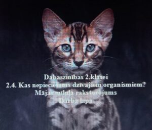 Dabaszinības 2.klasei. 2.4. Mājas mīluļa raksturojums. DL