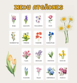 Ziedu atgādnes (pavasarais/ vasara)