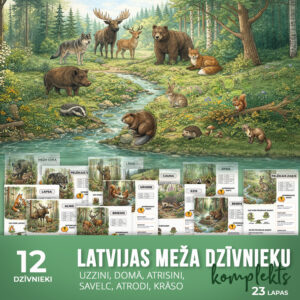 Latvijas meža dzīvnieku komplekts