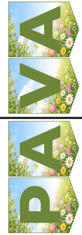 PAVASARIS KARODZIŅI A5