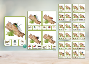 Knaģu spēle: atrodi kukaini