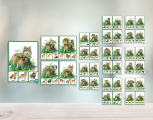 KNAĢU KARTĪTES: LATVIJAS SAVVAĻAS DZĪVNIEKI