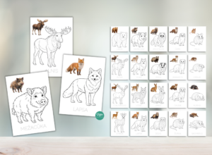 KRĀSOJAMĀS LAPAS: SAVVAĻAS DZĪVNIEKI