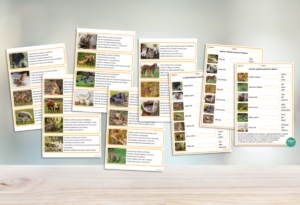 LASĀMKARTĪTES UN DARBA LAPAS – DZĪVNIEKU ĢIMENES | ģimene