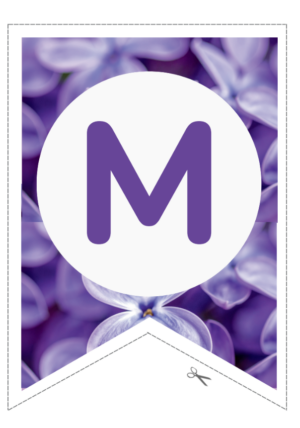 KARODZIŅI “MAIJS”