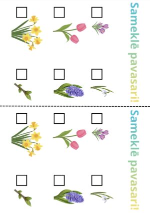 Sameklē pavasari