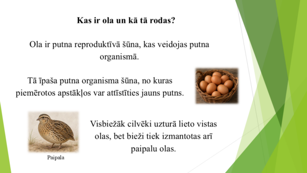 4.4.1. Kā olas tiek izmantotas uzturā, kā tās droši lietot.. 4.4.1. Kā olas tiek izmantotas uzturā, kā tās droši lietot..