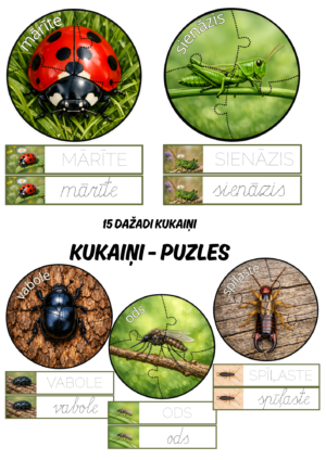 Kukaiņi – puzles.