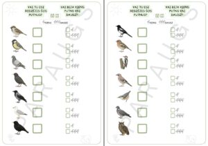 Putni | Putnu vērošana un skaitīšana