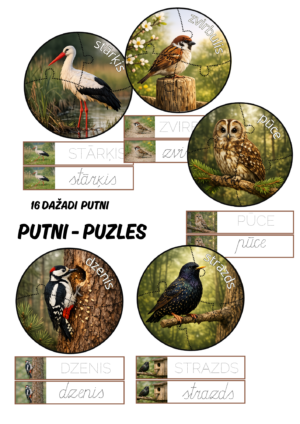 Putni – puzles.