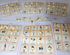 Pavasara puķu bingo