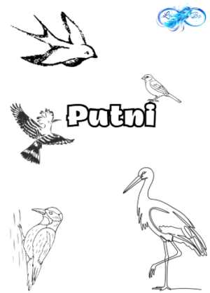 Putni