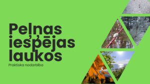 Peļņas iespējas laukos (Ideju ģenerēšanas metodes)