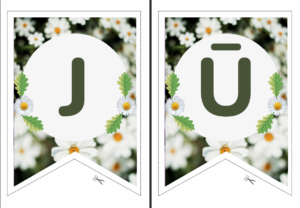 Karodziņi “JŪNIJS”