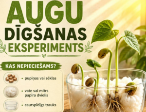 Mazais Pētnieks. 8 aizraujoši eksperimenti bērniem. Mazais Pētnieks. 8 aizraujoši eksperimenti bērniem.