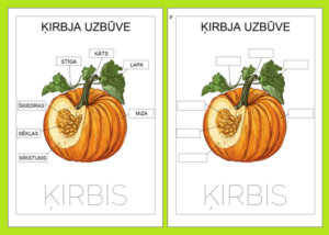 ĶIRBJA UZBŪVE