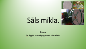 1.klase_Sāls mīkla_prezentācija