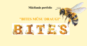 Mācīšanās portfolio pirmskolai: bites mūsu draugi
