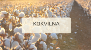 Kokvilna (prezentācija)