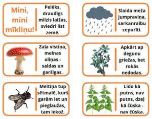 Mīklu domino (7. daļa) Mīklu domino (7. daļa)