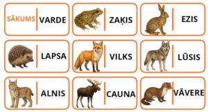 Domino “Latvijas dzīvnieki” (lielie burti)