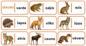 Domino “Latvijas dzīvnieki” (mazie burti)
