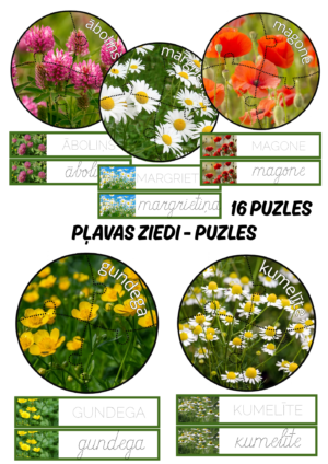 Pļavas ziedi – puzles. Pļavas ziedi – puzles.