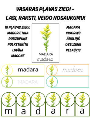 Vasaras pļavas ziedi – lasi, raksti, saliec nosaukumu. Vasaras pļavas ziedi – lasi, raksti, saliec nosaukumu.